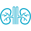 Surgery Icon